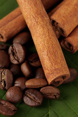 Coffee grains and cinnamon on sackcloth on green leafs close-up