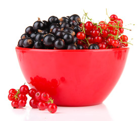 Red and black currant in bowl isolated on white
