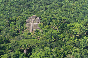 Fototapeta na wymiar Maya ruiny Lamanai