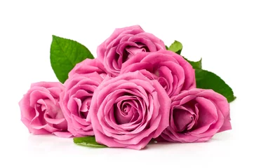 Wall murals Roses bouquet of pink roses