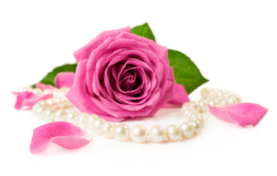 pink rose and pearl necklace