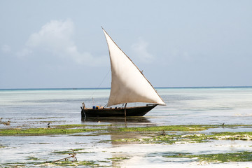 Obraz premium Traditional boat in Zanzibar