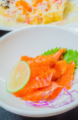 Salmon