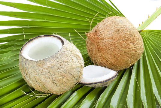 Coconut.