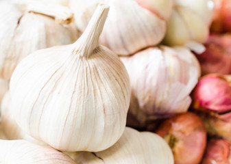 Garlic