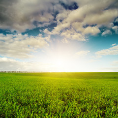 cloudy sunset and green agricultute field