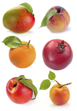 single set of fruits