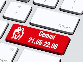 Fototapeta premium Gemini_Başka