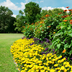 Beautiful flowerbed in summer park