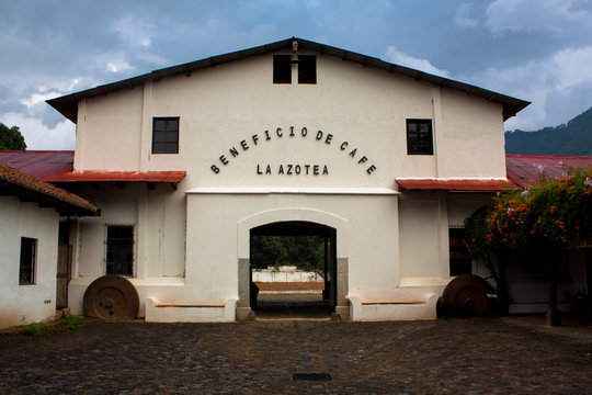 Coffee farm La Azotea Antigua Guatemala