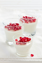 Creamy panna cotta with pomegranate seeds.