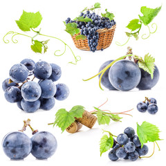 Collection of Dark grapes, Isolated on white