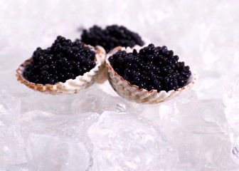 Three shell with black caviar on ice, close up