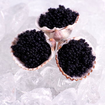 Three shell with black caviar on ice