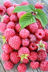 raspberry