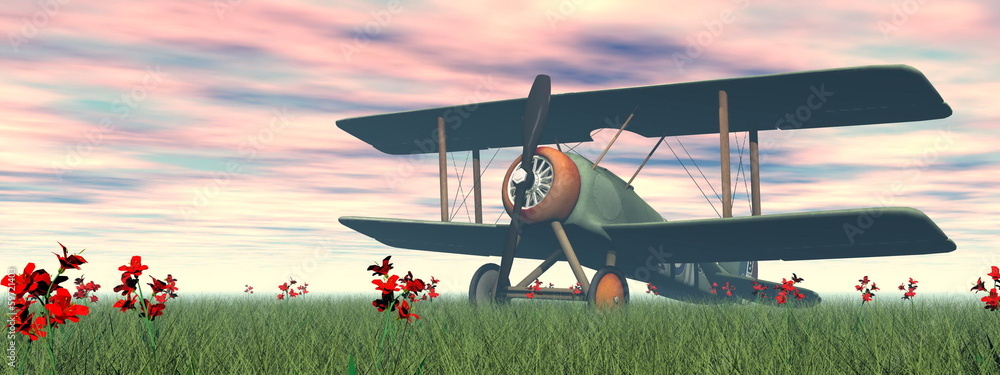 Canvas Prints biplane on the grass - 3d render