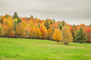 Fototapeta premium Autumn Landscape and Cloudy Sky