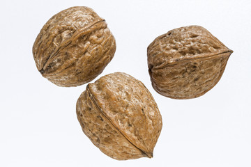 Walnusstrio