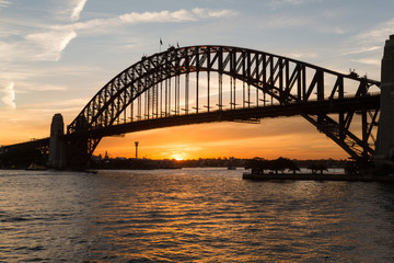 Naklejka na ściany i meble Sydney harbour bridge sunset