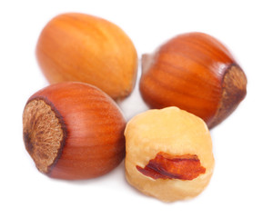 Hazelnuts isolated on white.