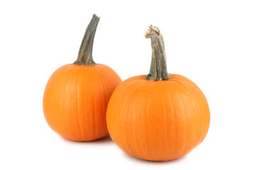 Obraz premium Pumpkins on white background