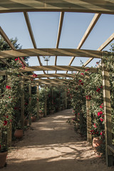 Wooden Pergola in a Garden