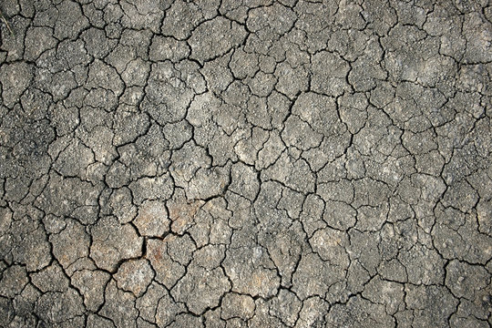cracked ground for background