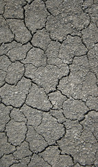 cracked ground for background