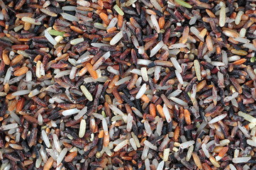 Moldy rice