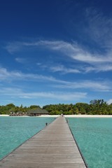 Fototapeta premium tropical beach