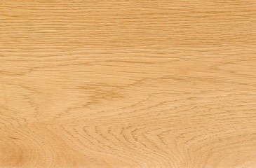 nature pattern detail of Ash wood background