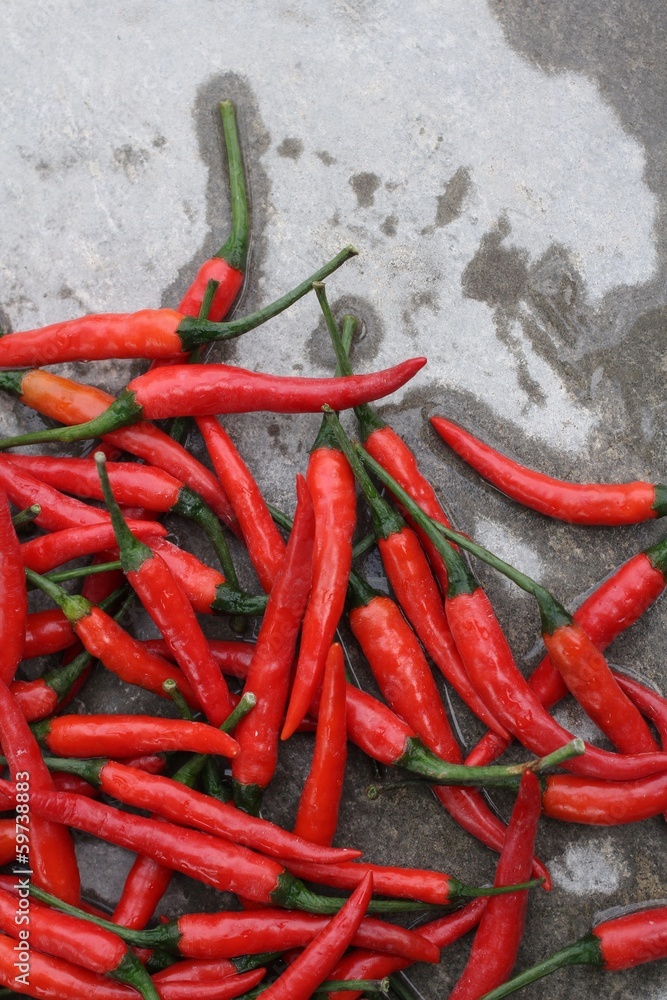 Canvas Prints red chili