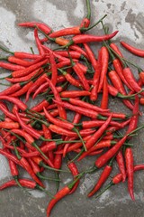 Red chili