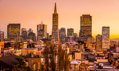 Foto op Aluminium San Francisco skyline © Luciano Mortula-LGM