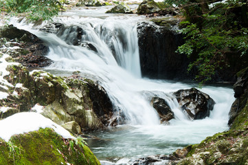 Fototapeta premium 冬の渓流