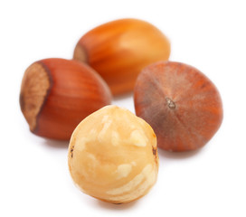 Fototapeta premium Hazelnuts isolated on white.
