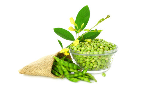 pigeon peas with leaves