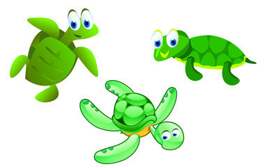 kinds of turtle cartoon