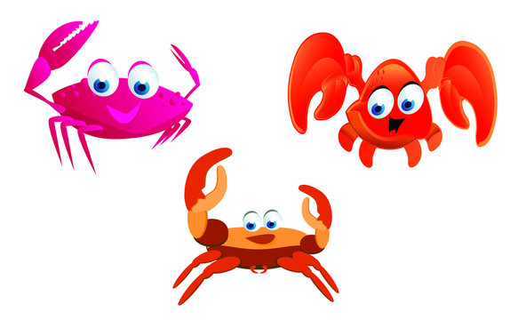kinds of crab cartoon