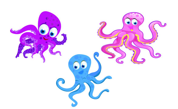kinds of octopus cartoon