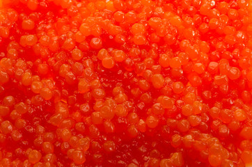 red  caviar macro