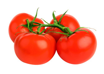 bunch  tomatoes