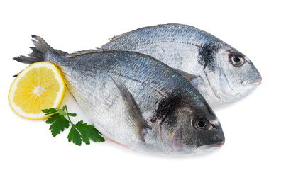 Fresh sea bream with slice of lemon and parsley isolated