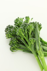 スティックセニョール