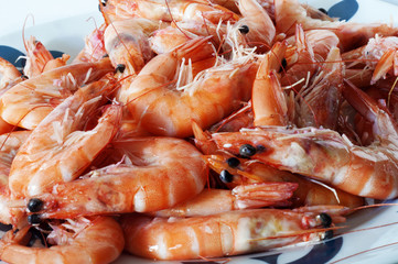 prawns