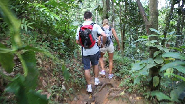 Couple on a trekking day in tropical forest