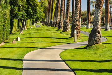 Naklejka premium Palm trees line a walking path with sky