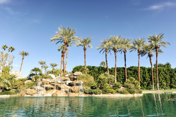 Pool of water with row of palm trees