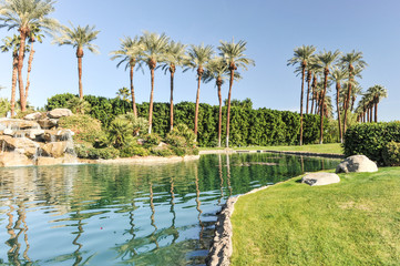 Pool of water with row of palm trees