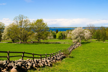 Beautiful countryside